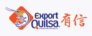 logotipo
